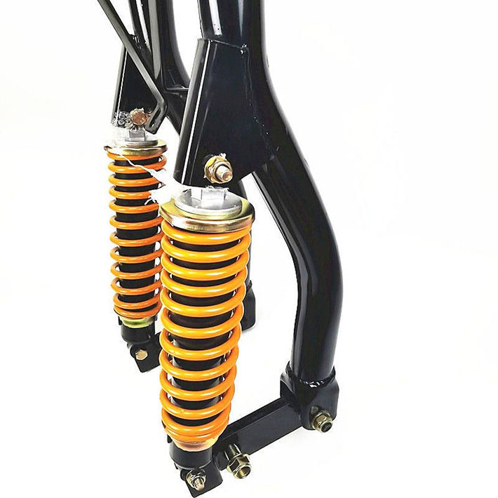 Combination of spring shock-absorber and hydraulic damper