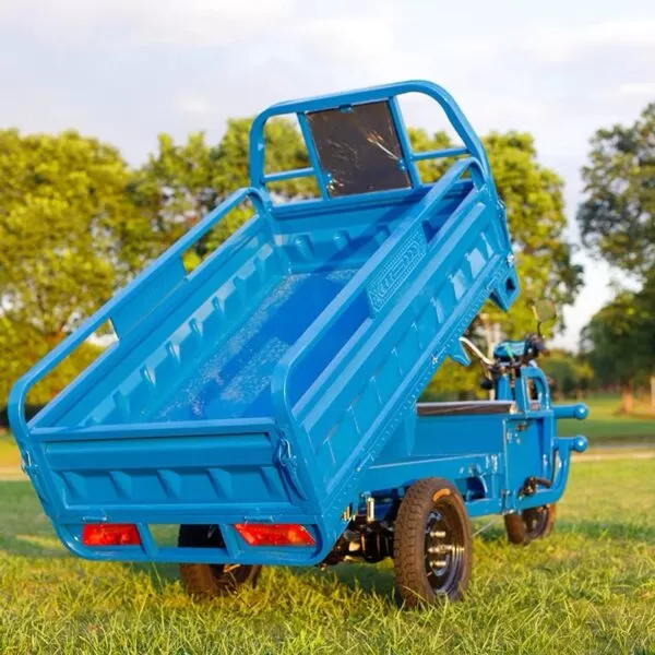 AGL Electric Agricultural Tricycle - Image 2
