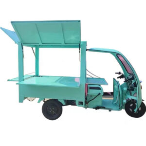 Food truck tricycle