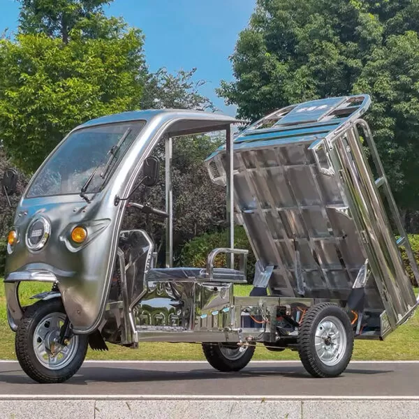 AGL tuk tuk cargo tricycle - Image 2