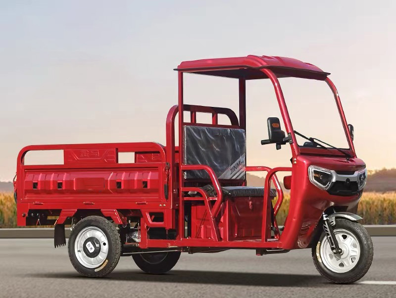 cargo electric tricycle