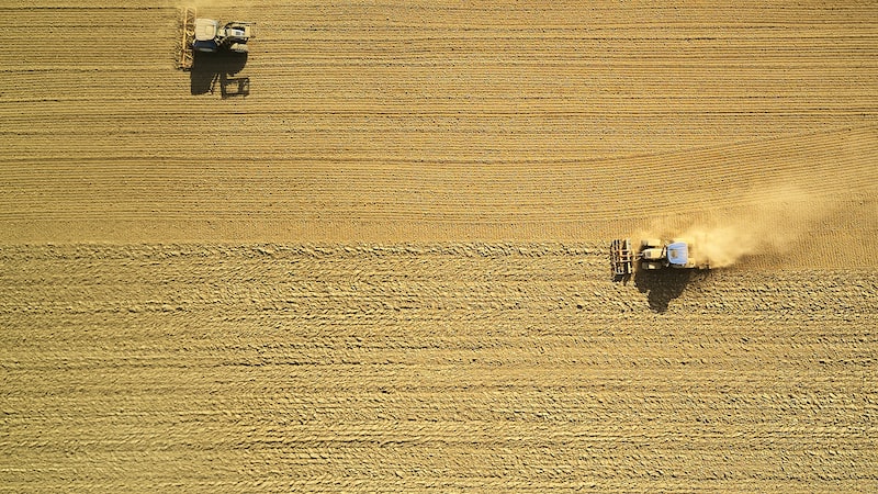 Saison des récoltes à la ferme